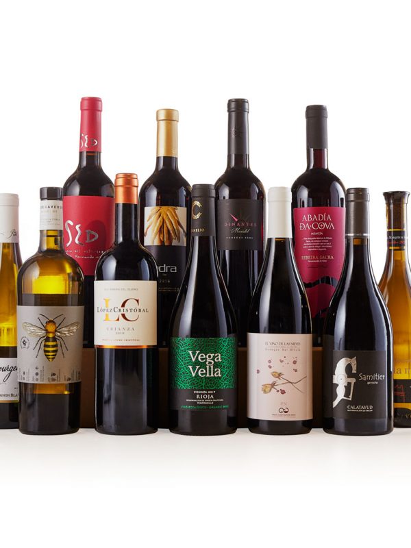 Fotografia de producto para ecommerce dirigido a la venta y promoción de botellas de vino en Aragon. Fotógrafo de producto Zaragoza