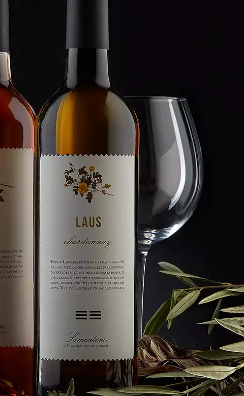 Fotografia de producto comercial de botellas de vino ideal para bodegas o distribuidores. Fotografo de producto comercial en Zaragoza.